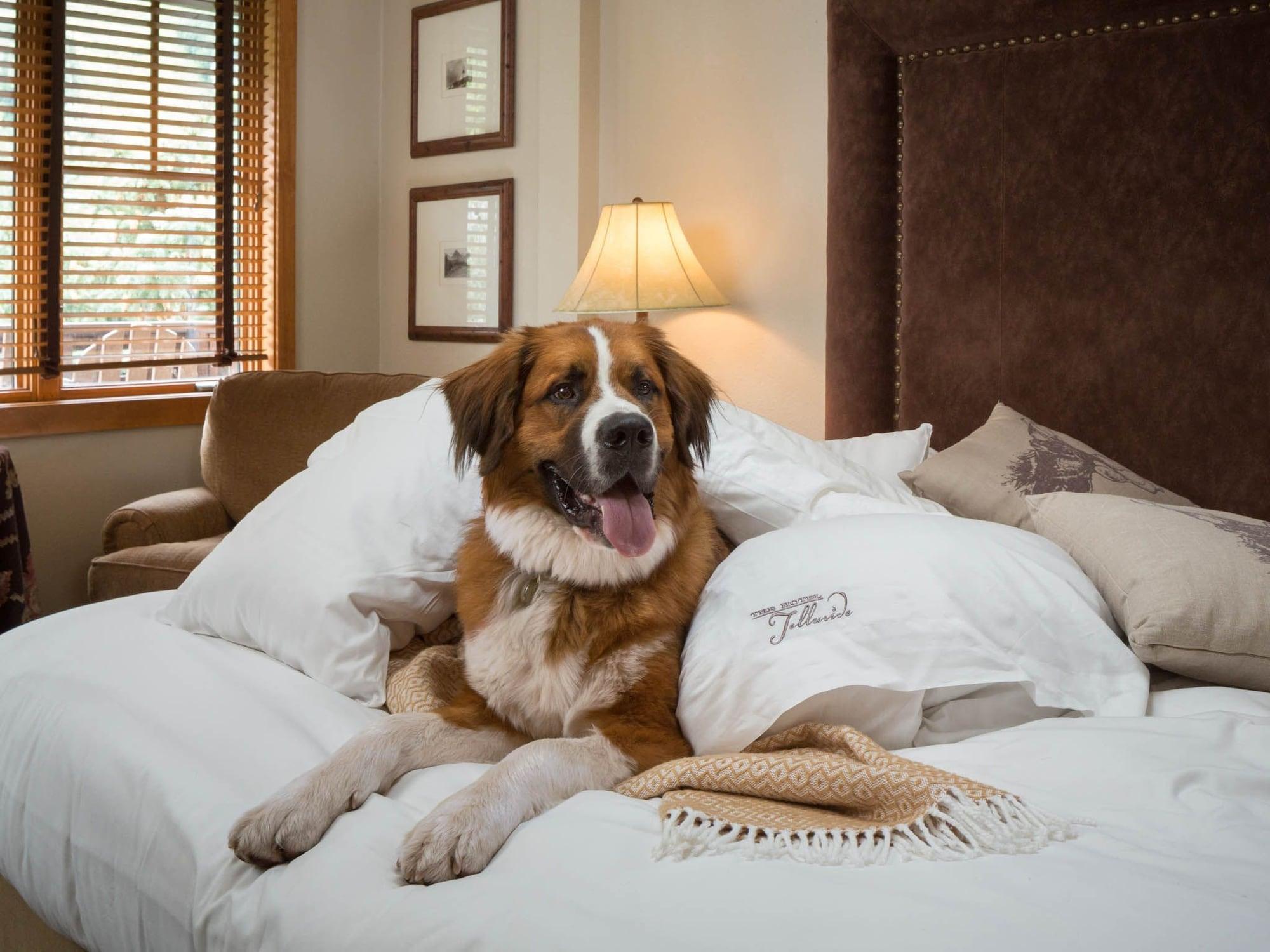 The Hotel Telluride Εξωτερικό φωτογραφία